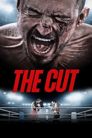 The Cut (2025) WEBRIP Hindi (MULTI AUDIO) 720p – 480p – 1080p